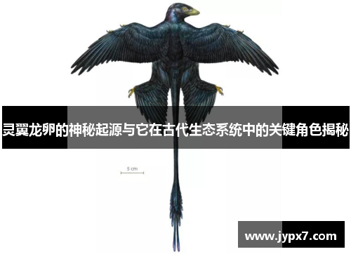 灵翼龙卵的神秘起源与它在古代生态系统中的关键角色揭秘