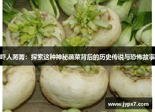 吓人芜菁：探索这种神秘蔬菜背后的历史传说与恐怖故事